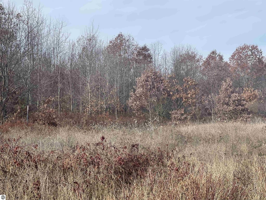 Picture 41