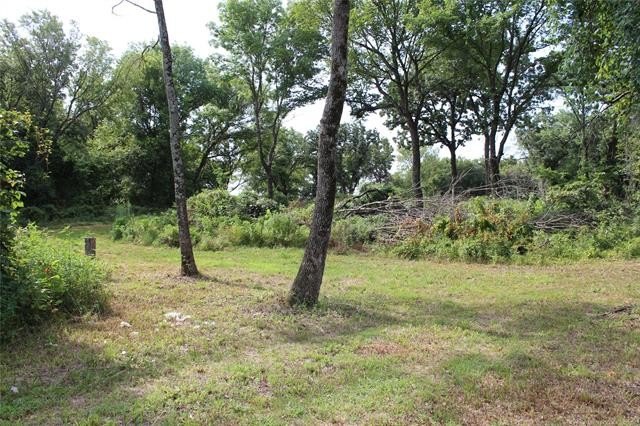 Picture 5