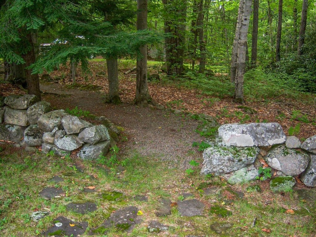 Picture 23