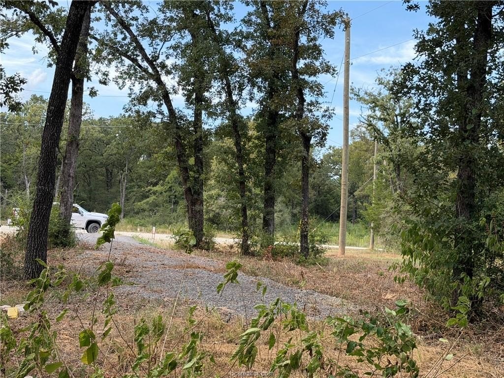 Picture 25