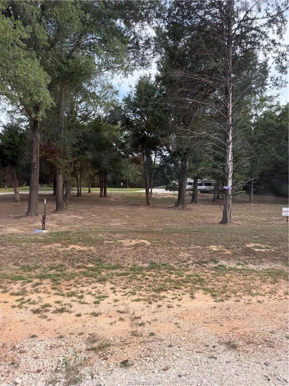 Picture 31