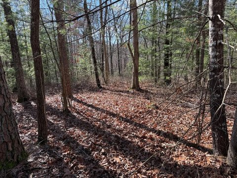 LAND - Murphy, NC
