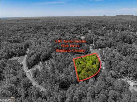 Toccoa Residential Lot For Sale
