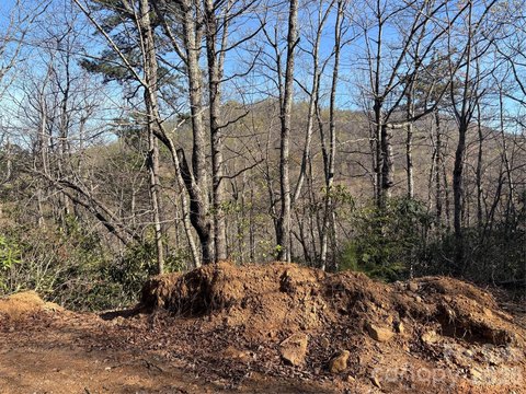Land, Edneyville, NC