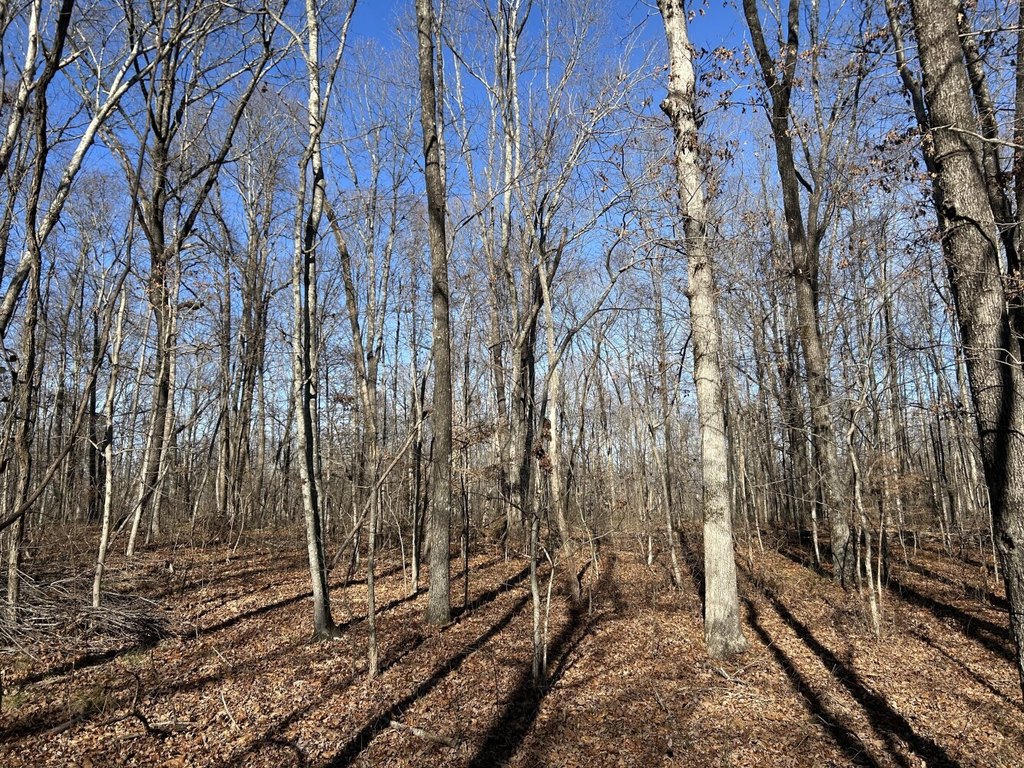 Picture 13