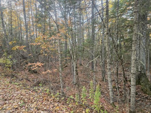 Land, Swanville, ME