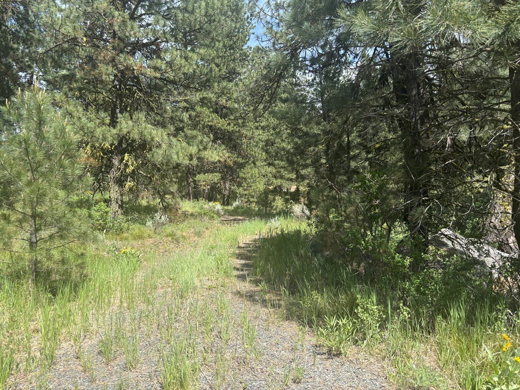 Picture 7