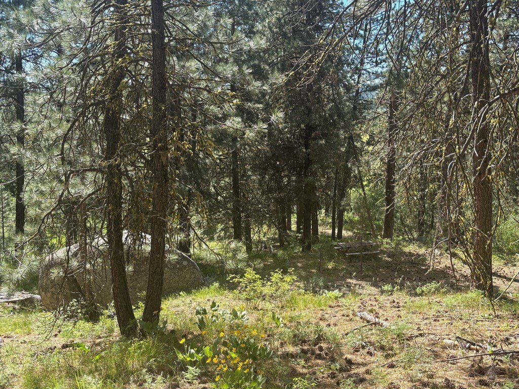 Picture 13