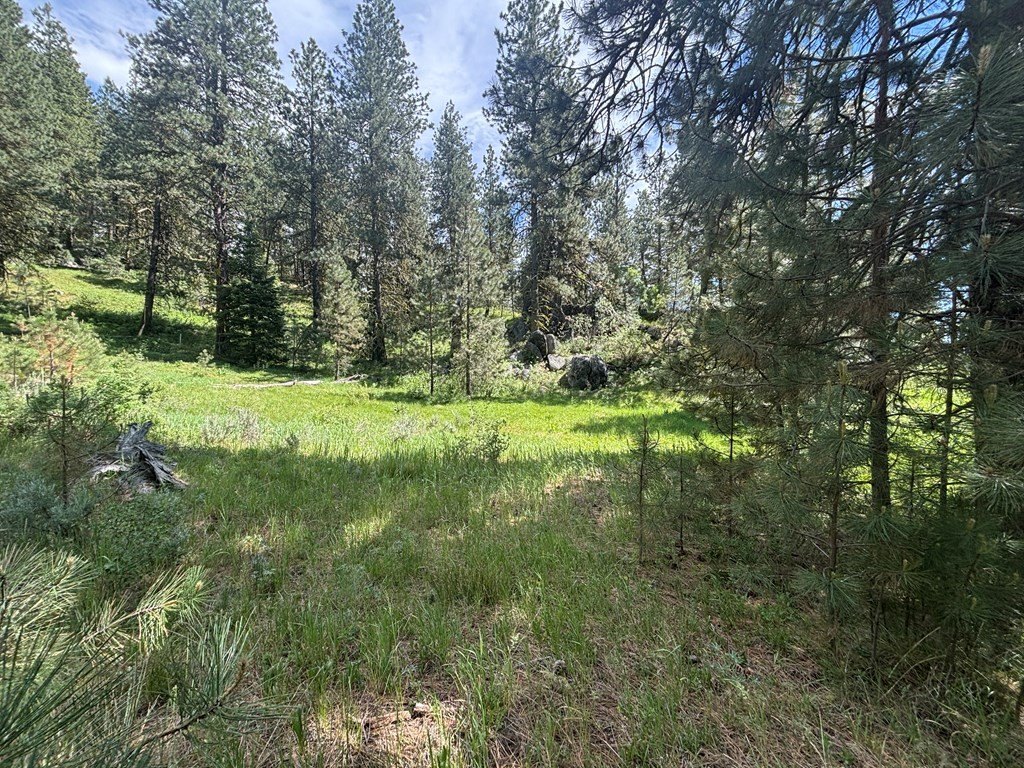 Picture 8
