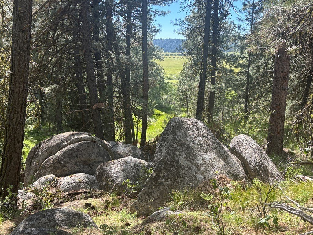 Picture 19