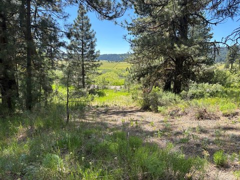 LAND - Cascade, ID