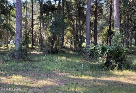 LAND - Townsend, GA