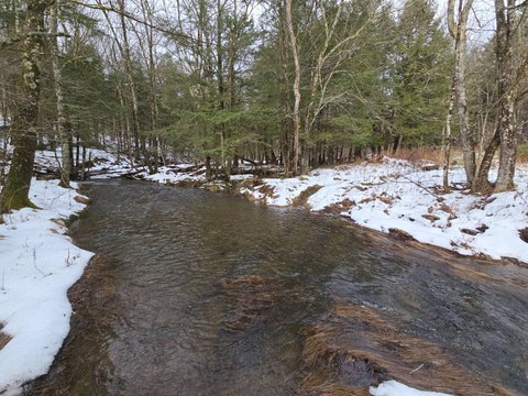 Recreation and Hunting Land
