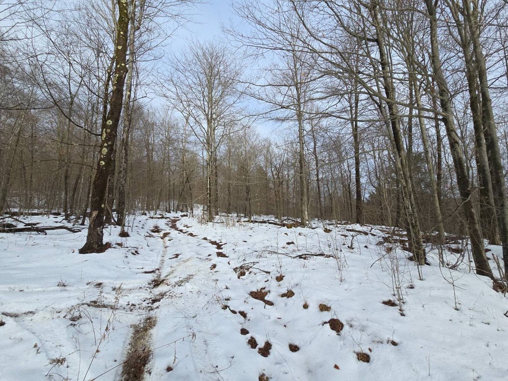 Picture 30