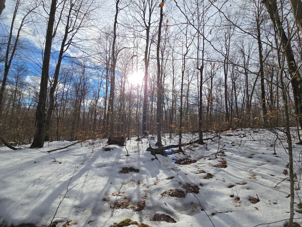 Picture 23