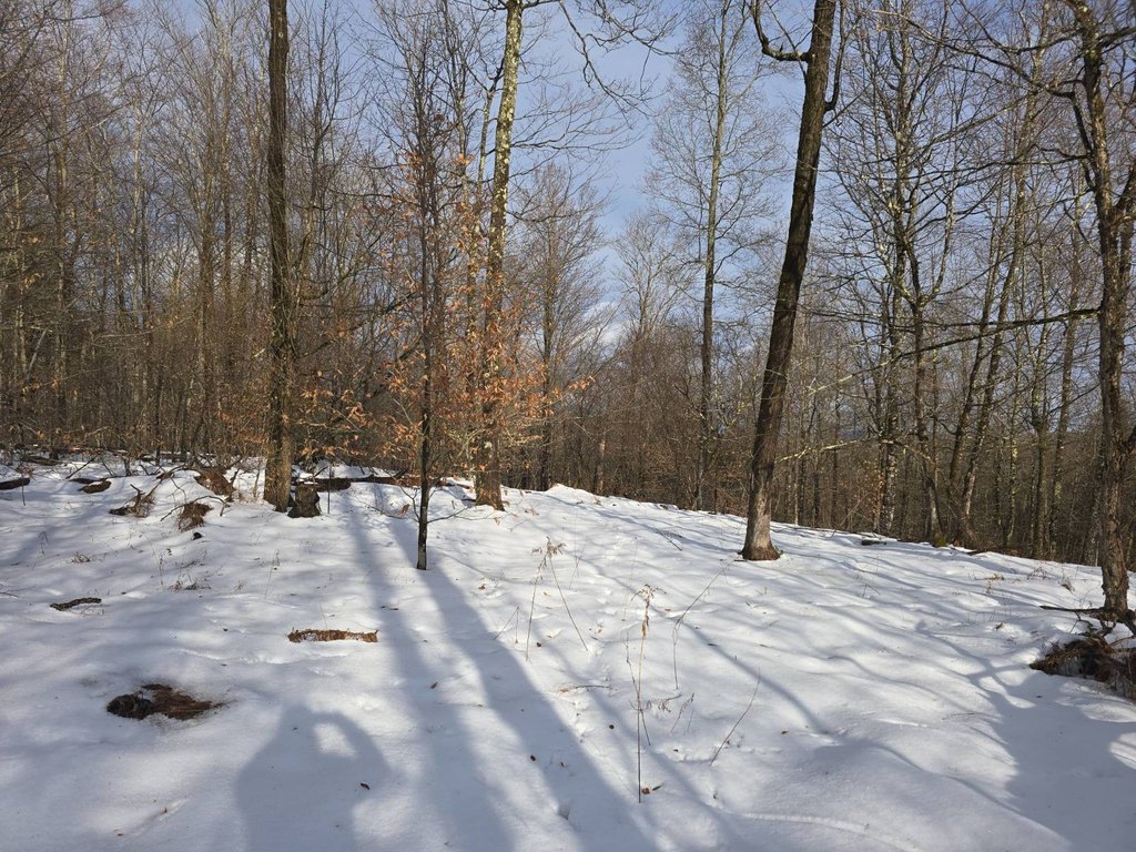 Picture 13