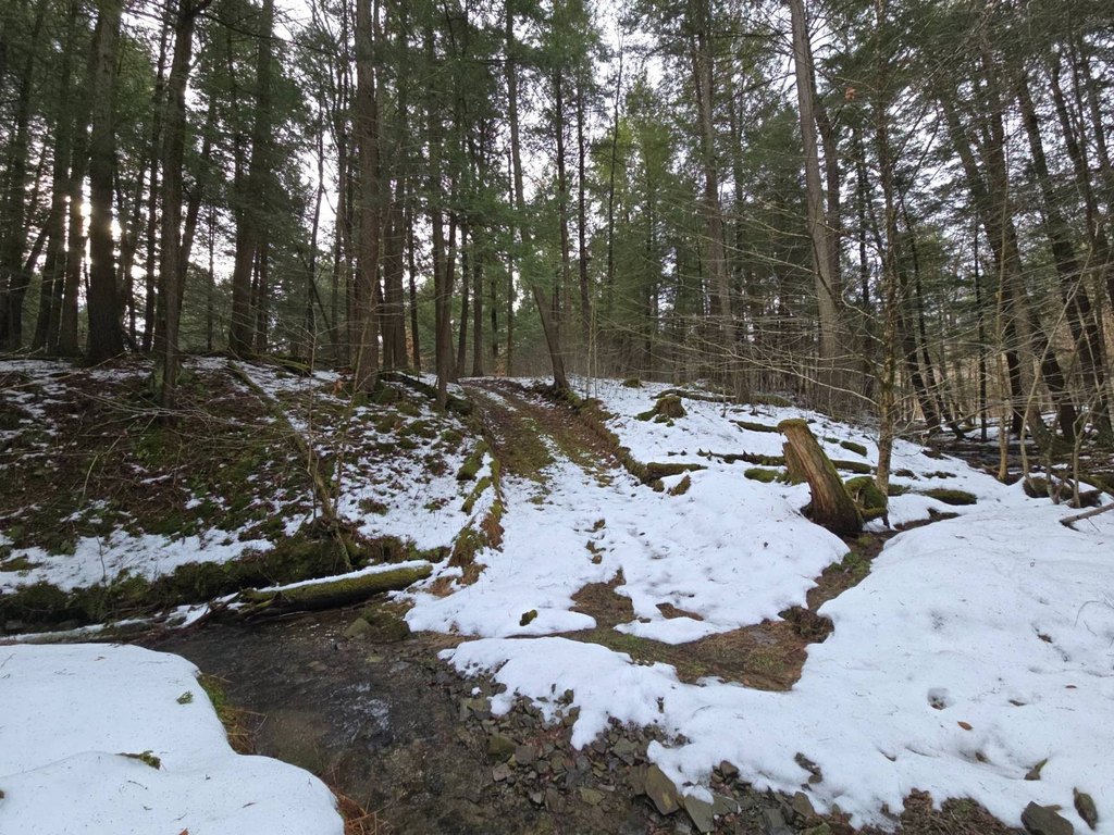Picture 48