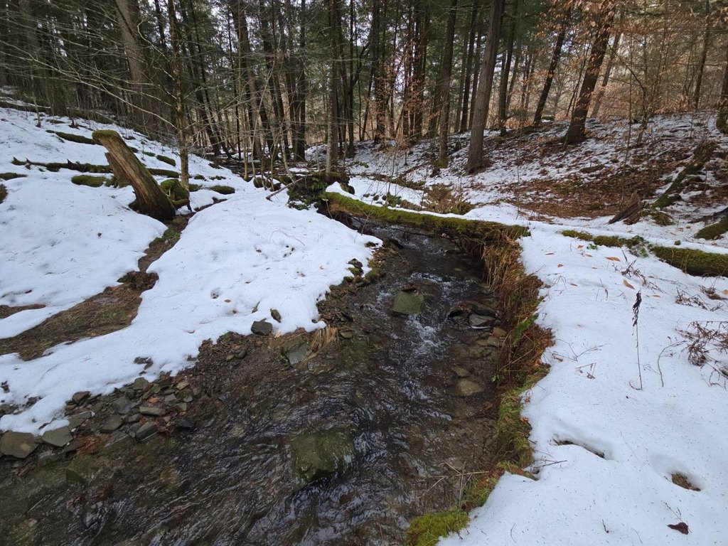 Picture 47