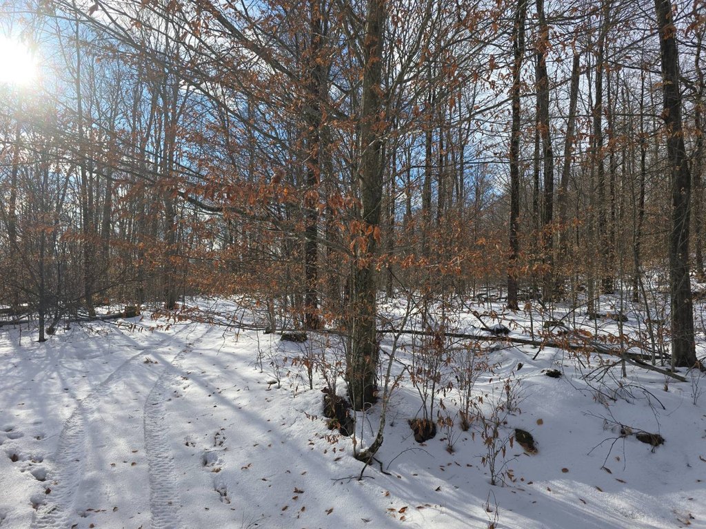 Picture 15