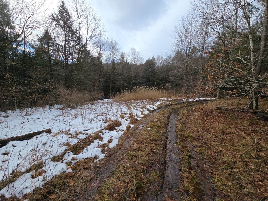 Picture 39