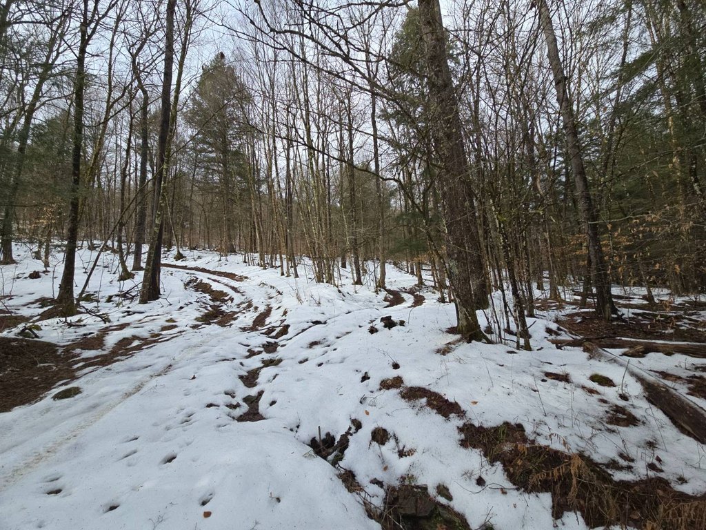 Picture 61