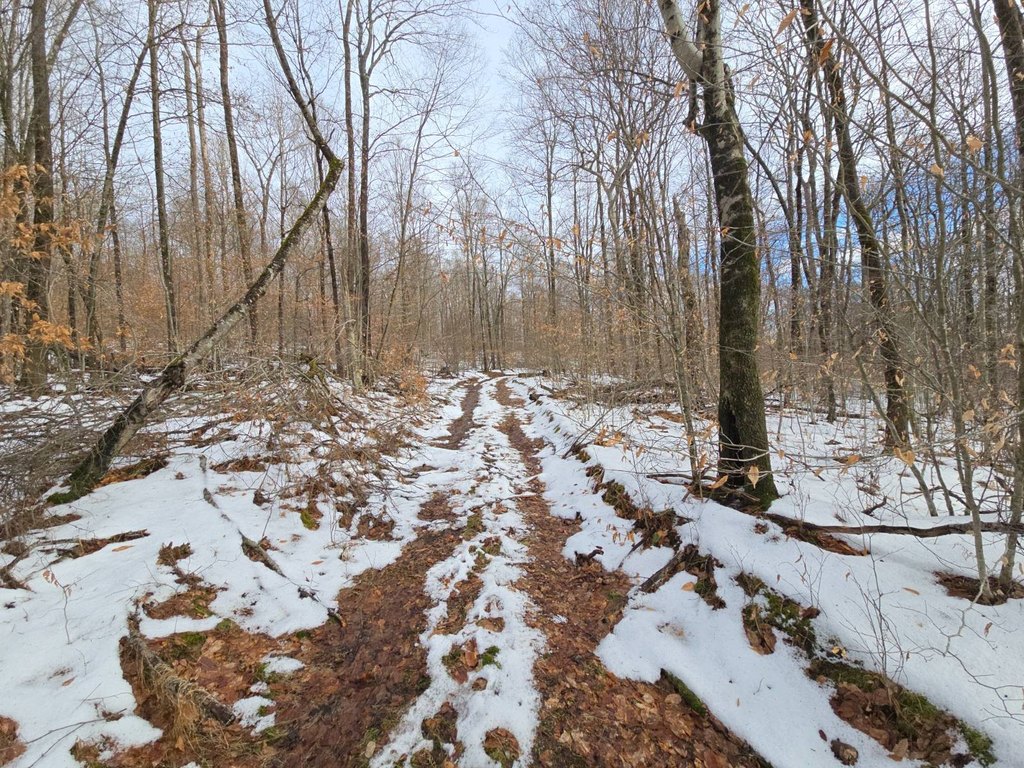 Picture 36