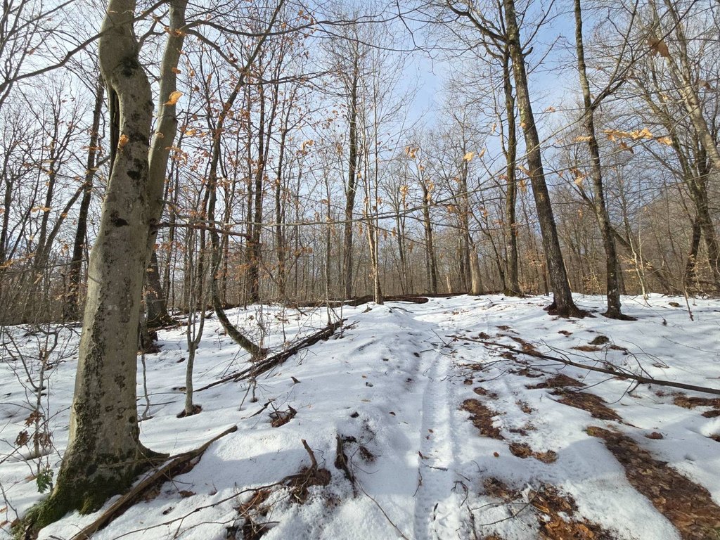 Picture 24