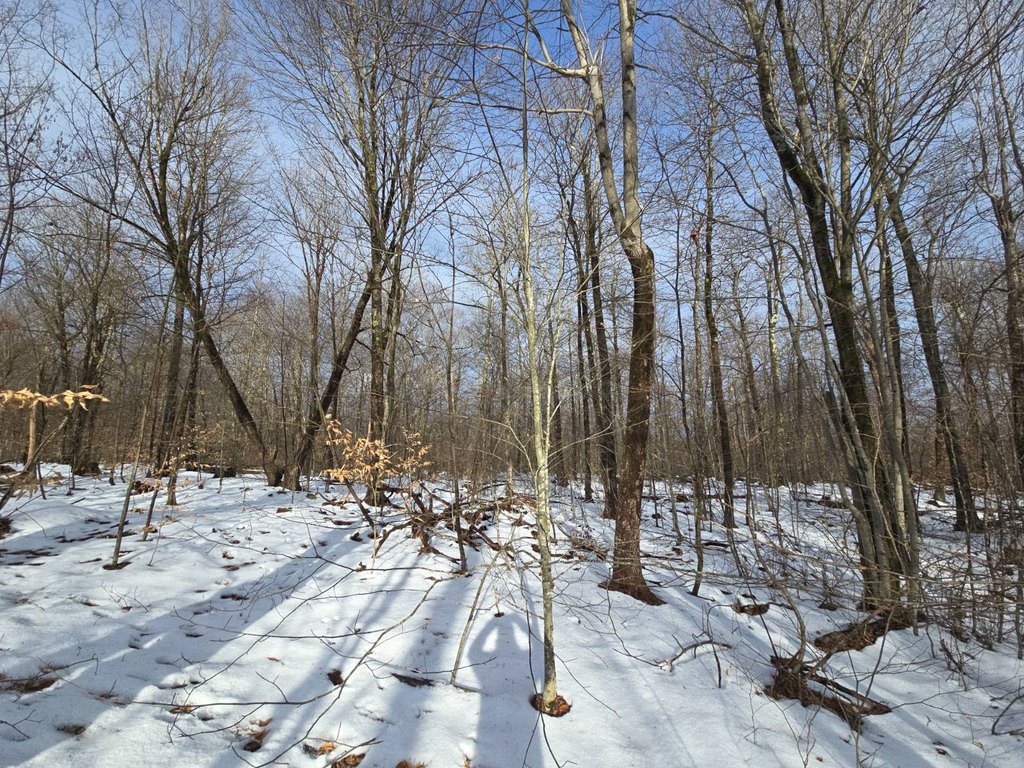 Picture 18