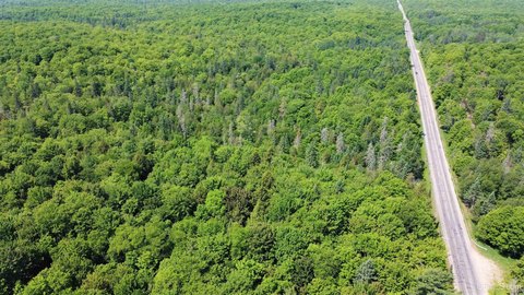 Land with Miner's River Frontage