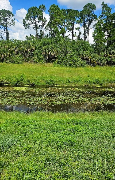 Picture 7