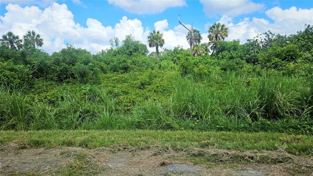 Picture 6