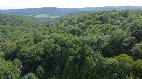 Secluded Wooded Land For Sale