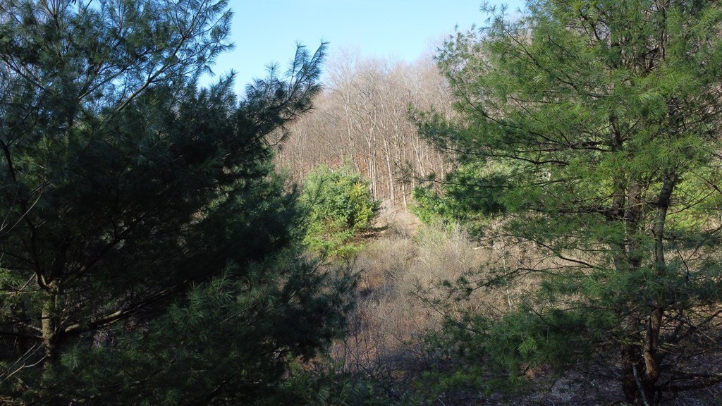 Picture 3