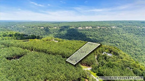 Wooded Bluff Lot with Views