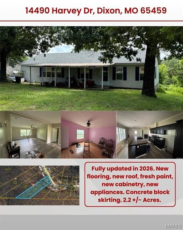 Picture 6