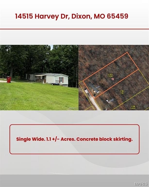 Picture 17