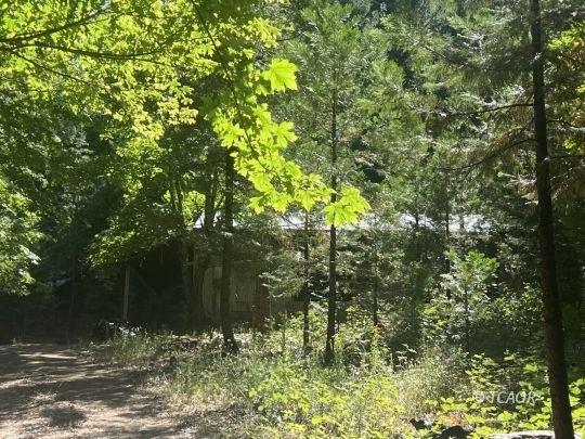 Picture 18