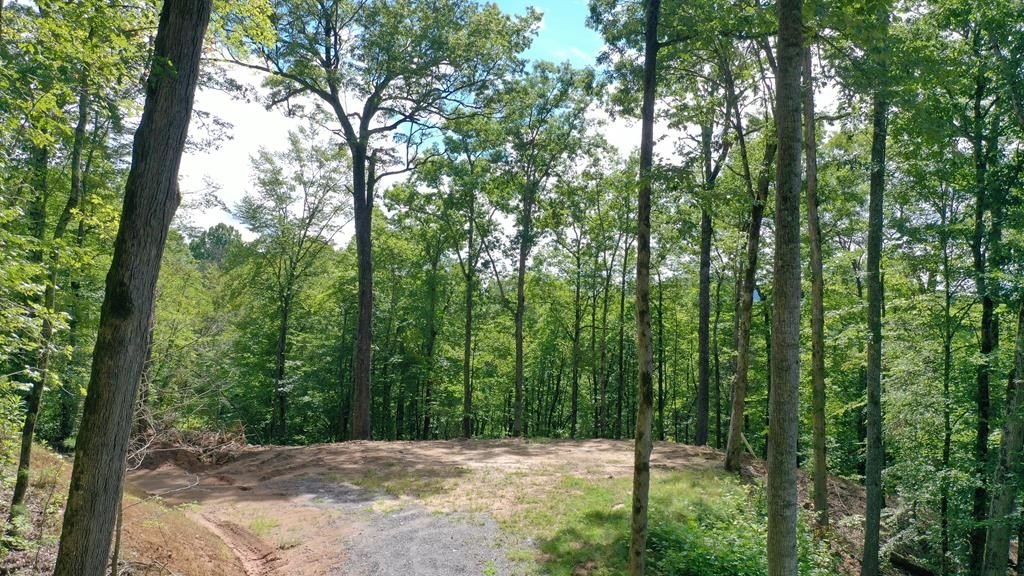 Mountain View Land in Bryson