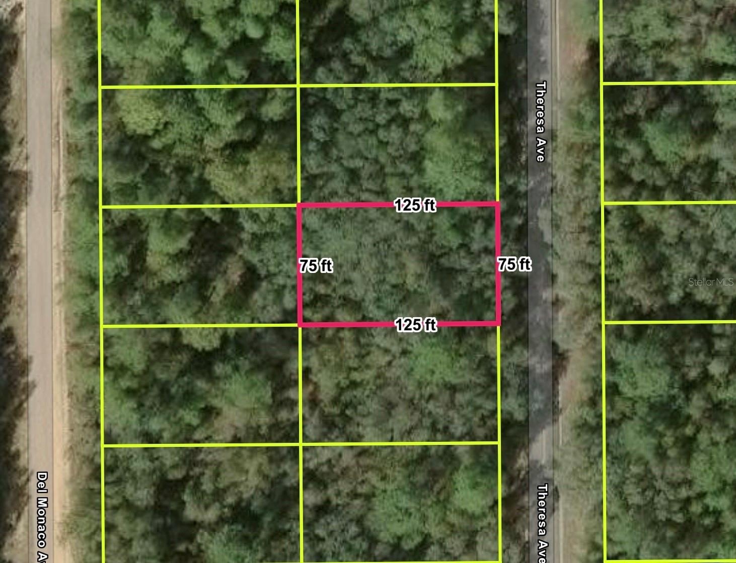 Oversized Residential Lot in Interlachen