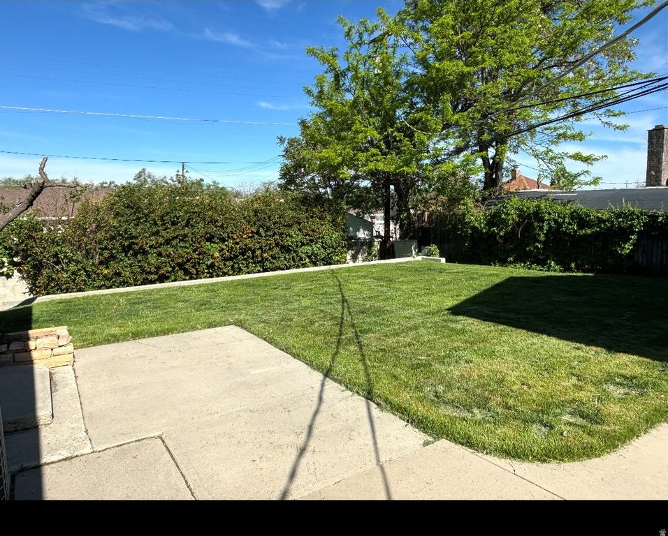 Picture 15