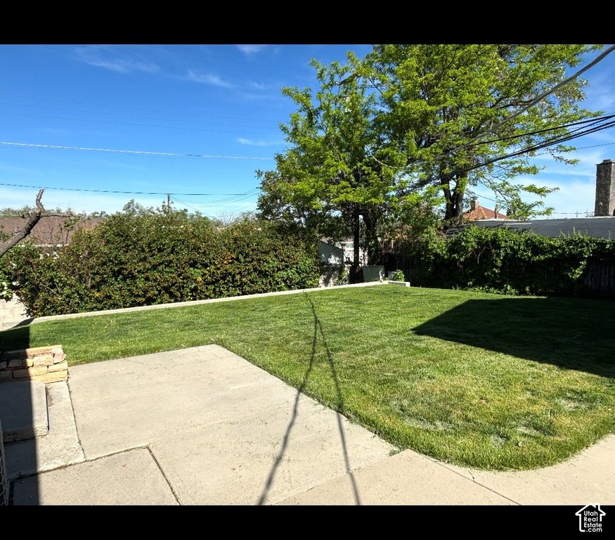 Picture 15