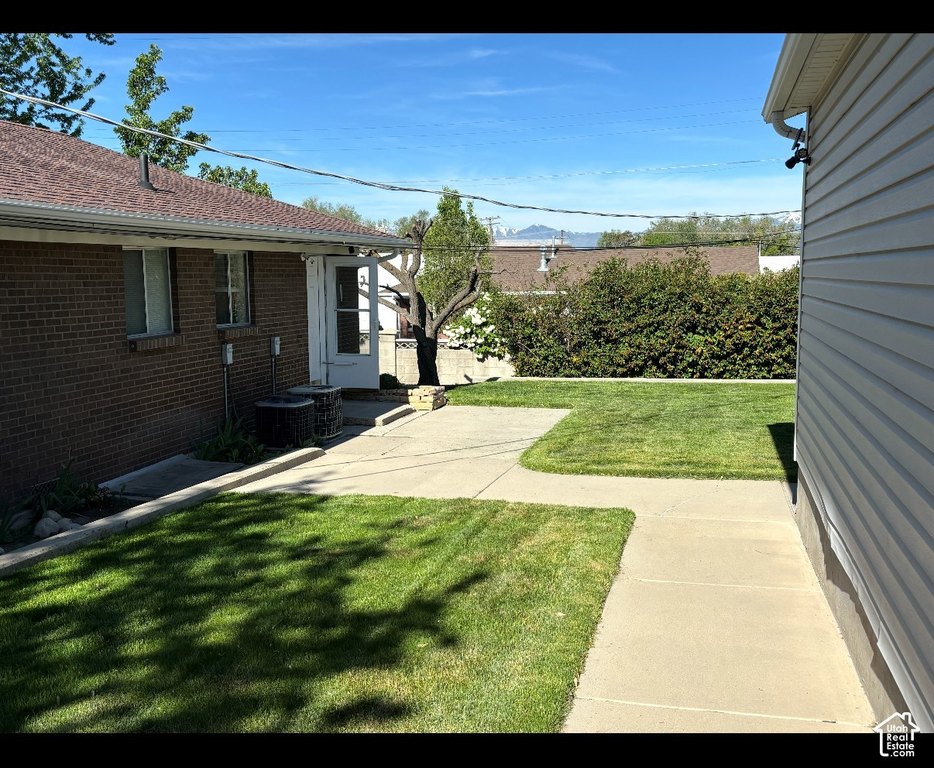 Picture 16