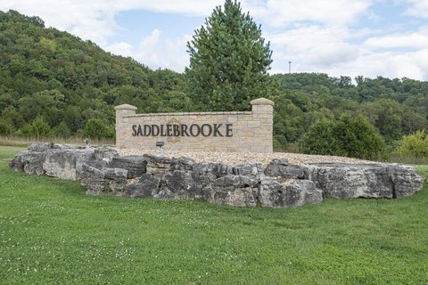 Saddlebrooke Buildable Lot Near Branson