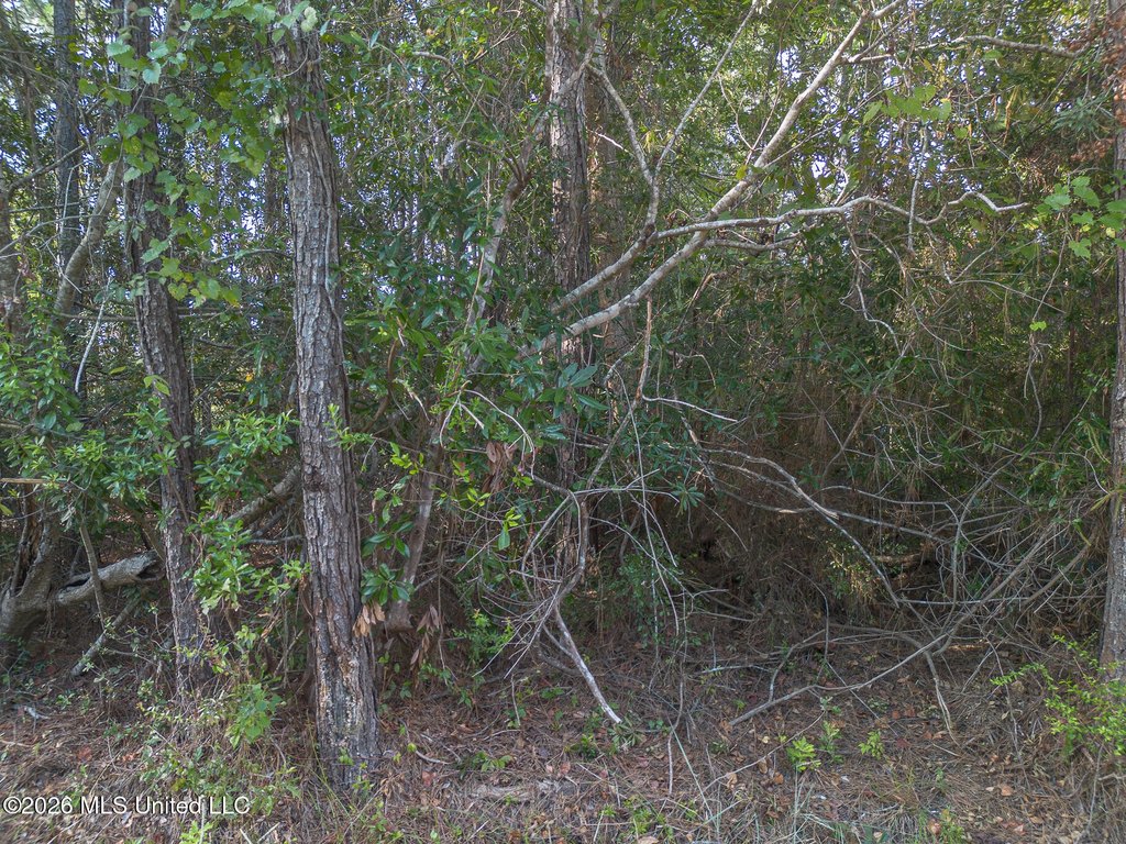 Picture 6
