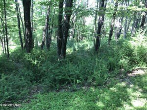 Land, Tafton, PA