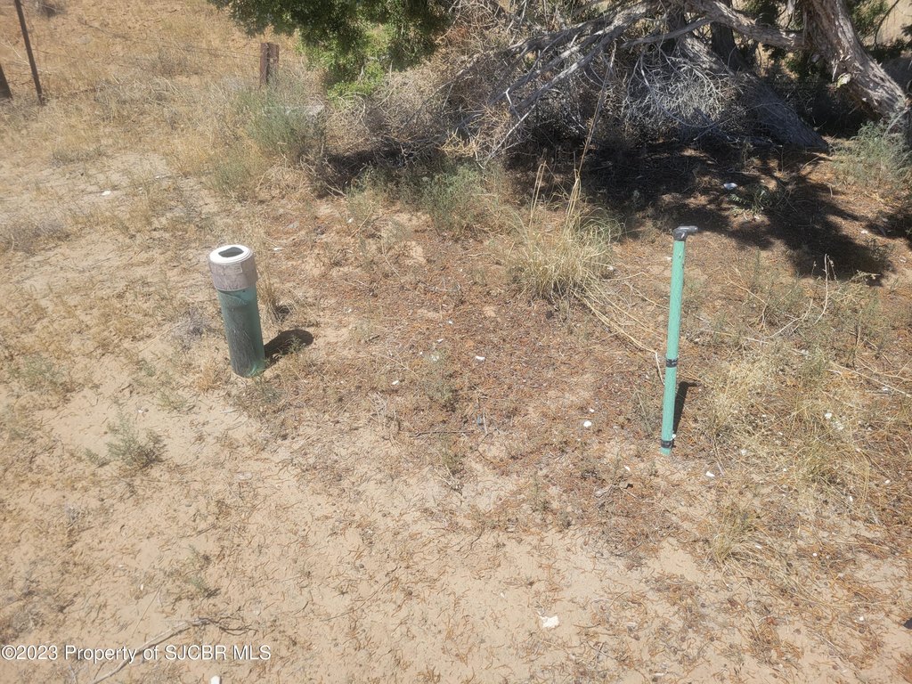 Picture 3