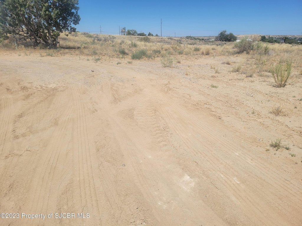 Picture 6
