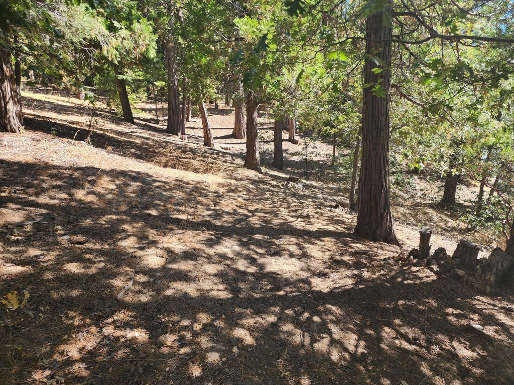 Picture 3