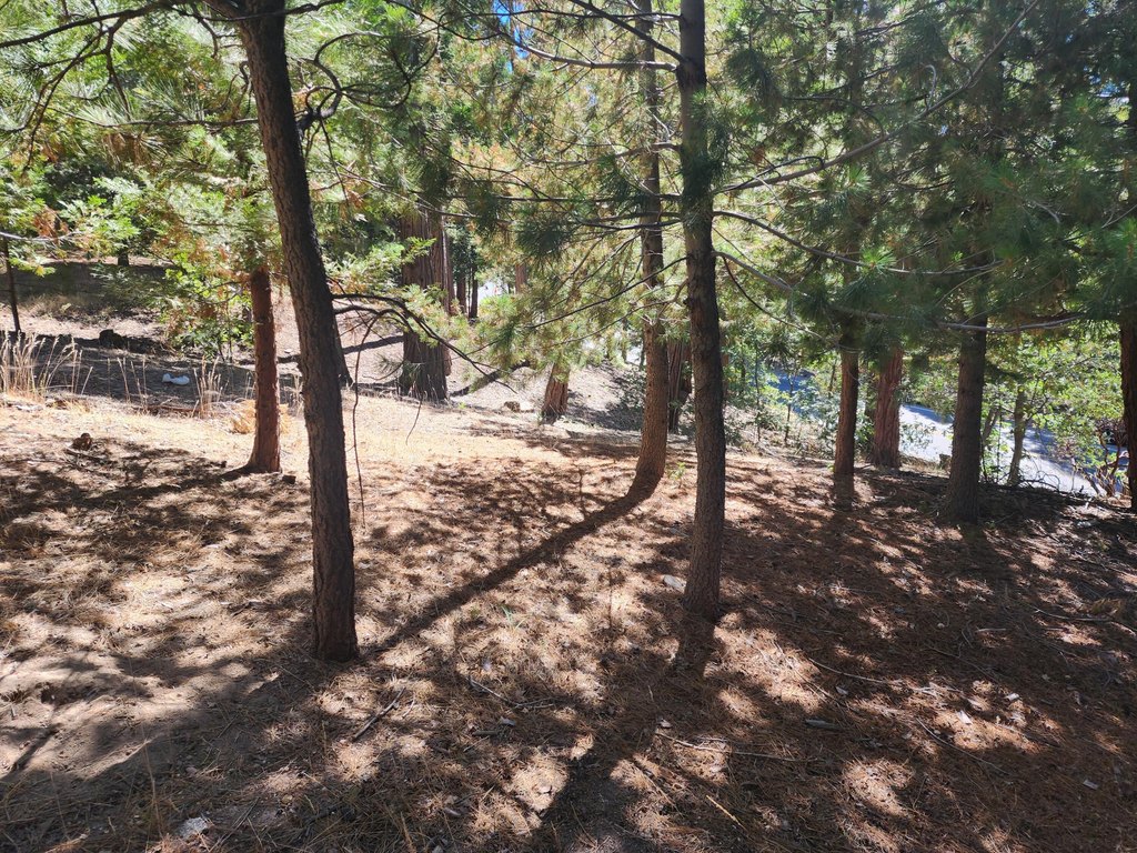 Picture 4