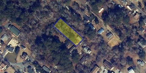 Chincoteague Island Wood Lot